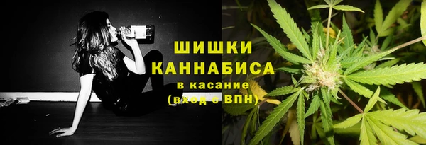 spice Пересвет