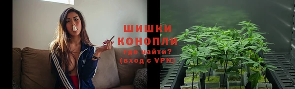 spice Пересвет