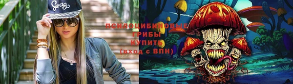spice Пересвет