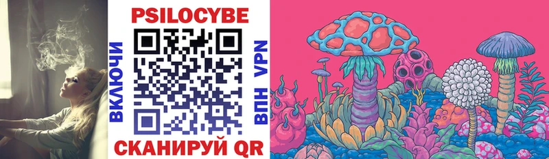 Галлюциногенные грибы Psilocybine cubensis omg зеркало Калтан