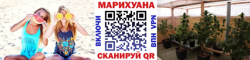 купить  цена  Калтан  Шишки марихуана конопля 