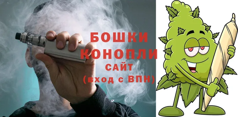 Бошки марихуана SATIVA & INDICA  hydra как зайти  Калтан  купить наркотик 